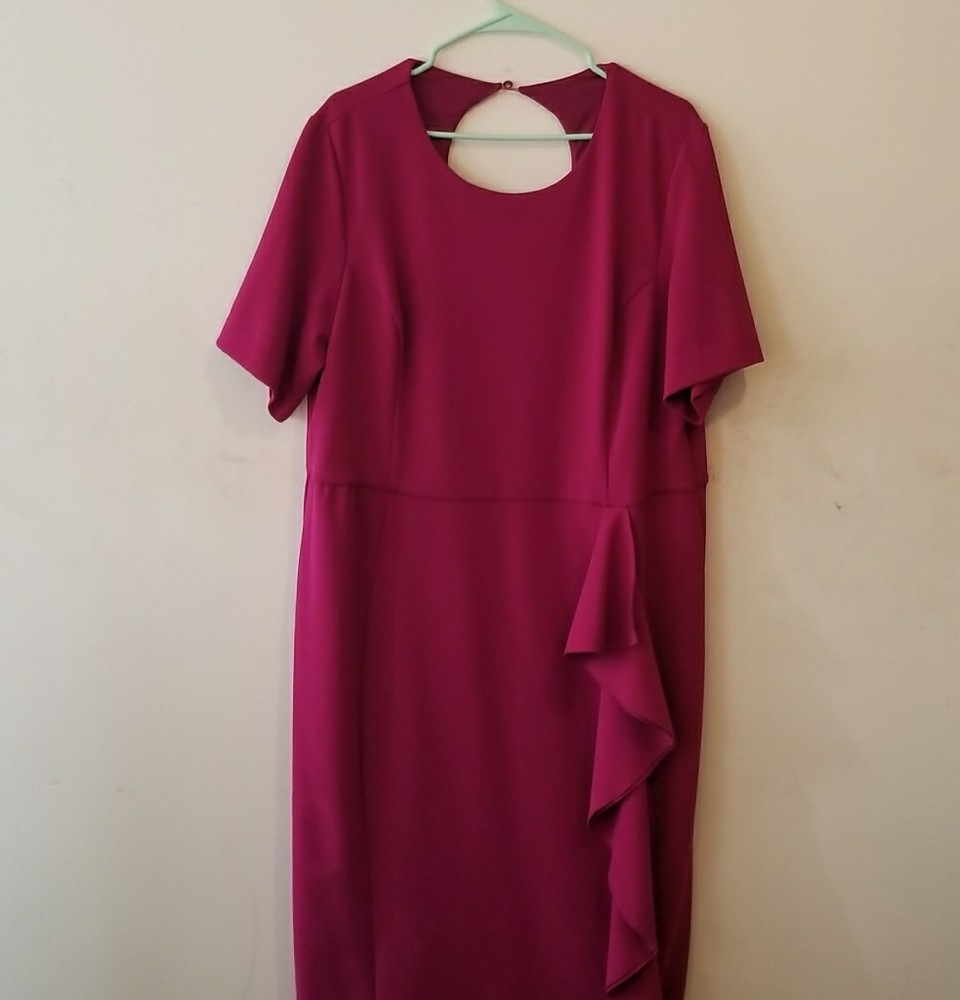 Rachel Roy Fuschia Plus size dress